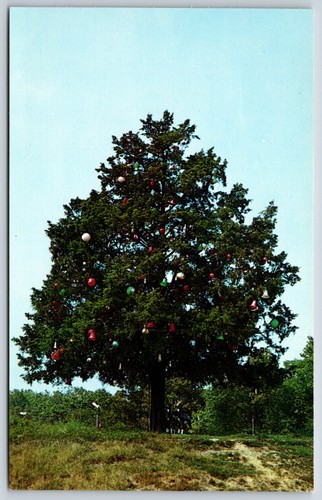 Cartolina albero natale in - albero, di